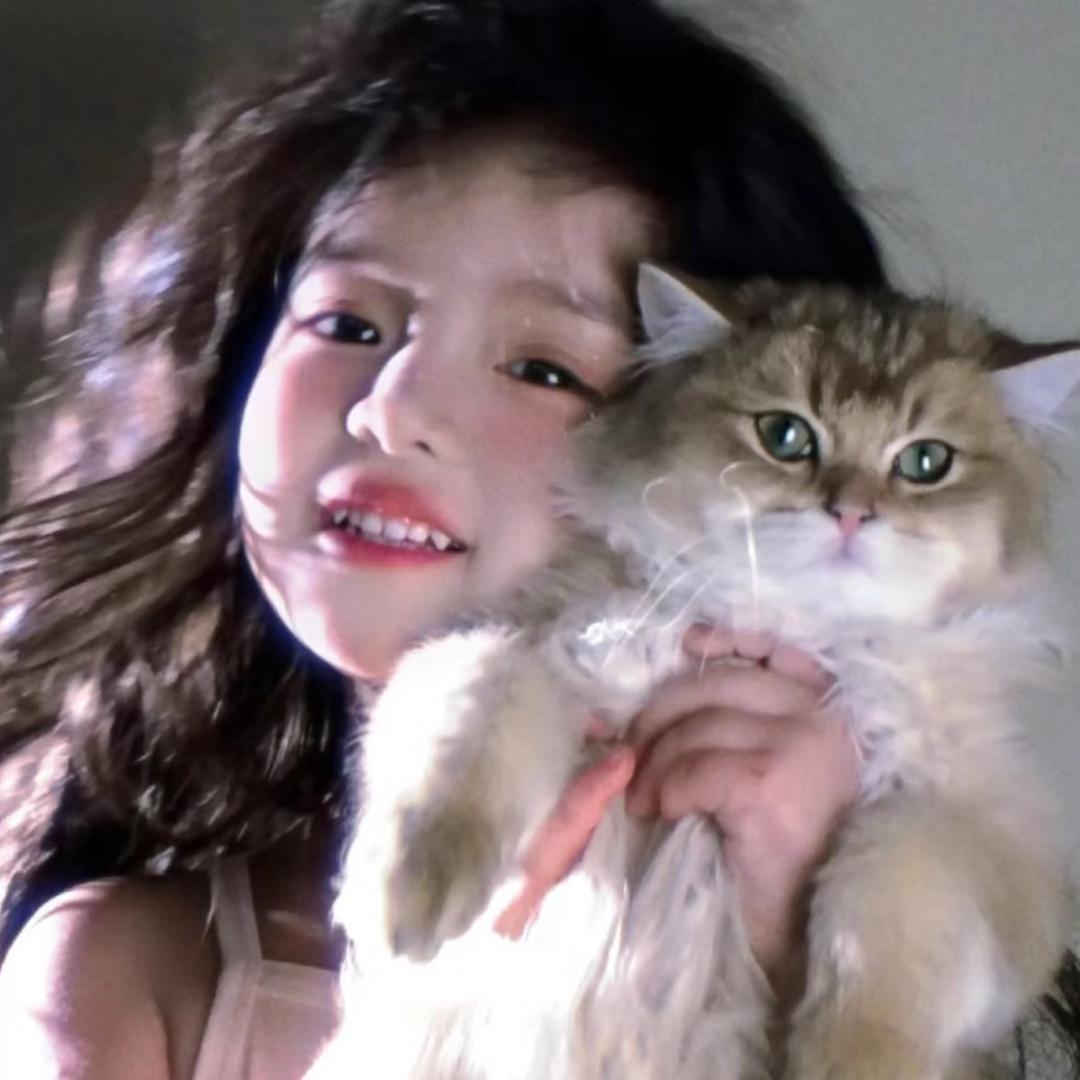 kitty不说hallo