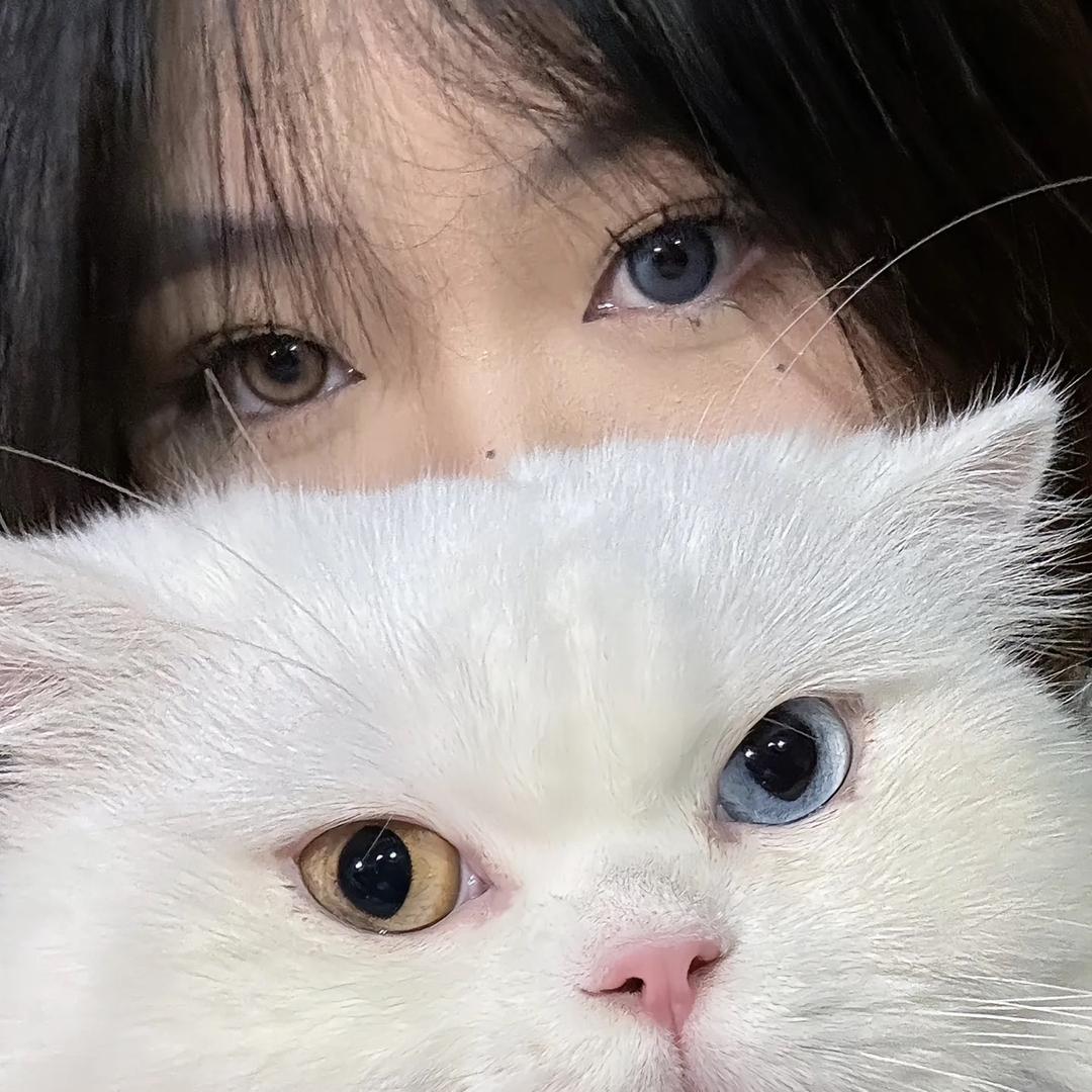 洲洲.