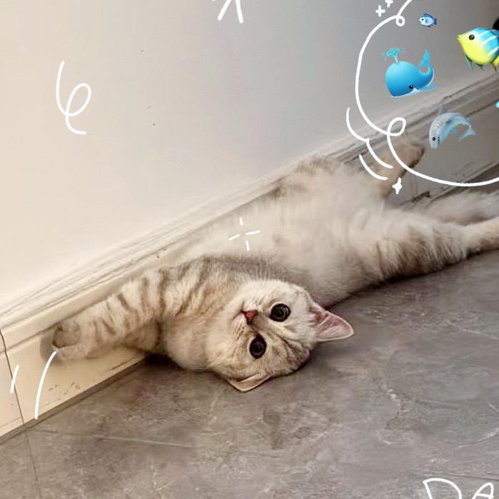 预备退休💰💰💰