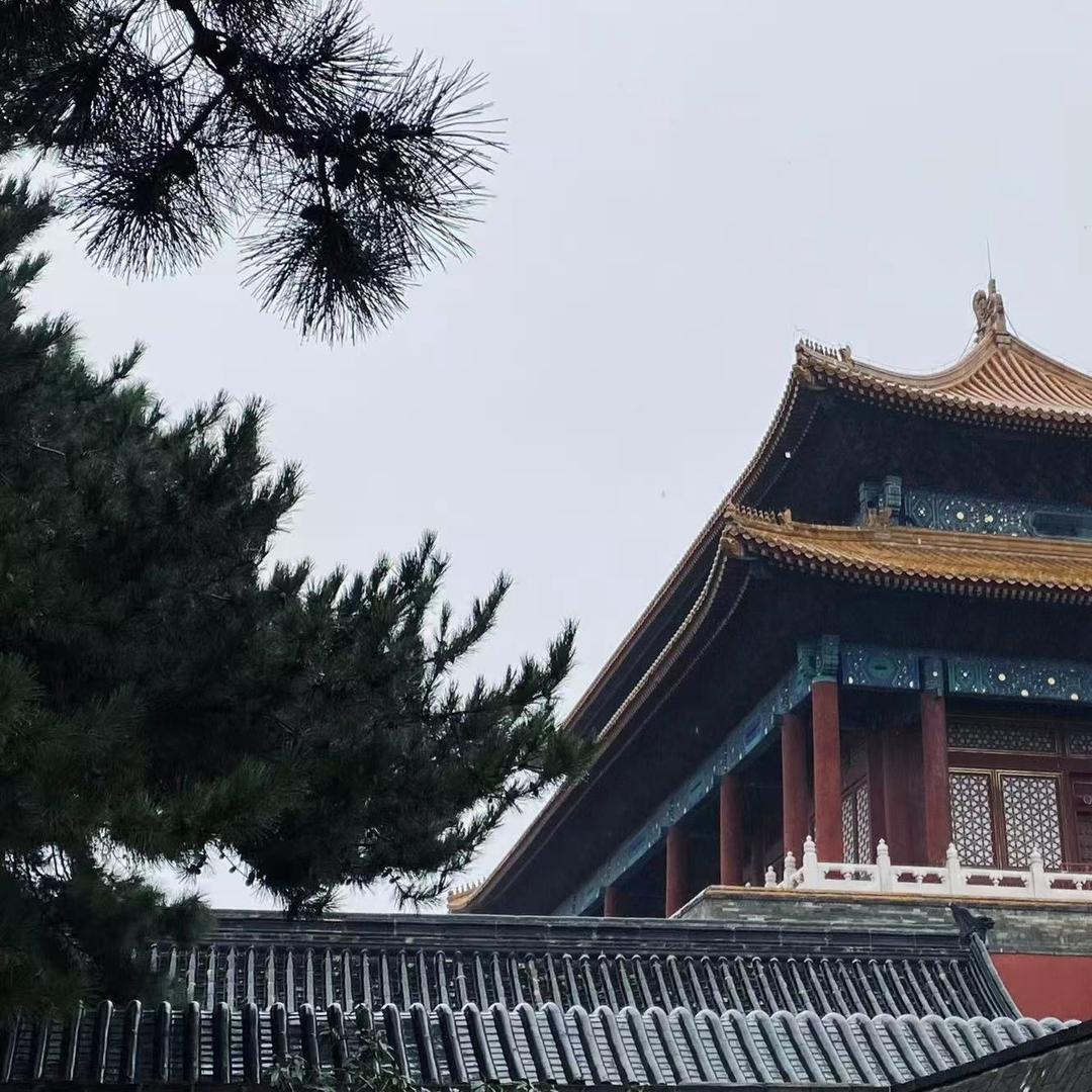 无忧 .