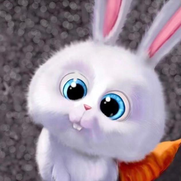 兔牙宝宝童装店