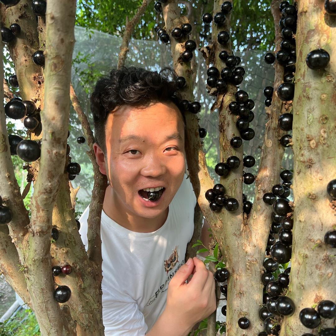 琪哥的水果日记