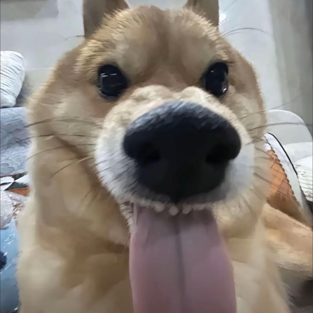 猪脚饭大王晚风