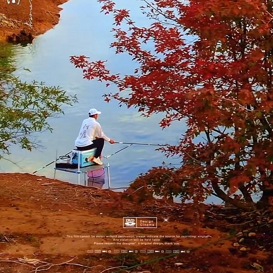 杨观翔🏍️🌊🥑🐱🎣