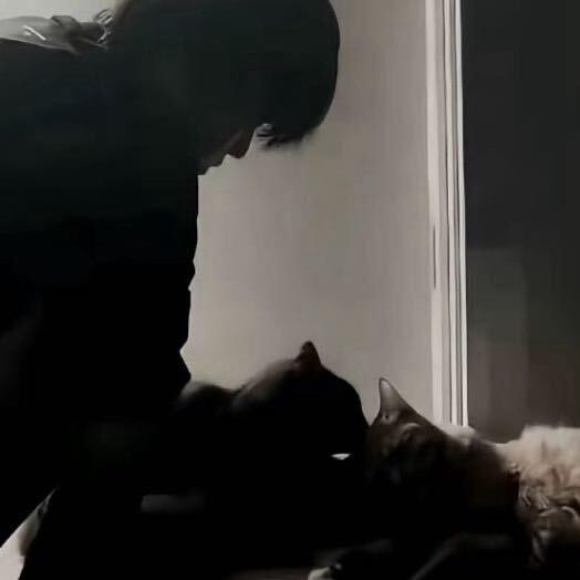 蛋挞（无畏契约手游）