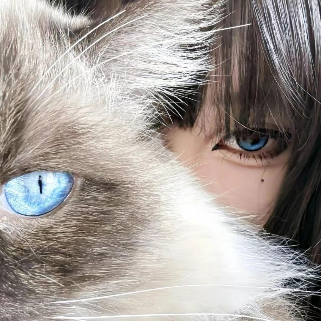 0 7 1 7（见过薛之谦三次版）