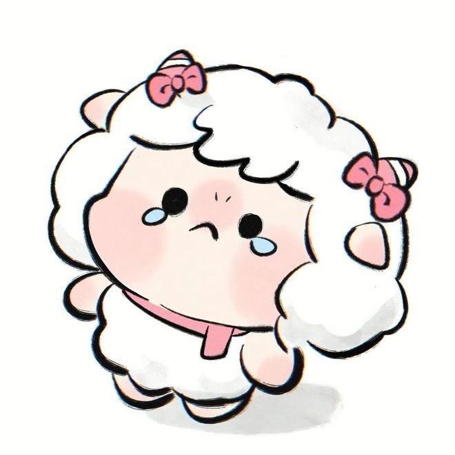 炮炮好物优选