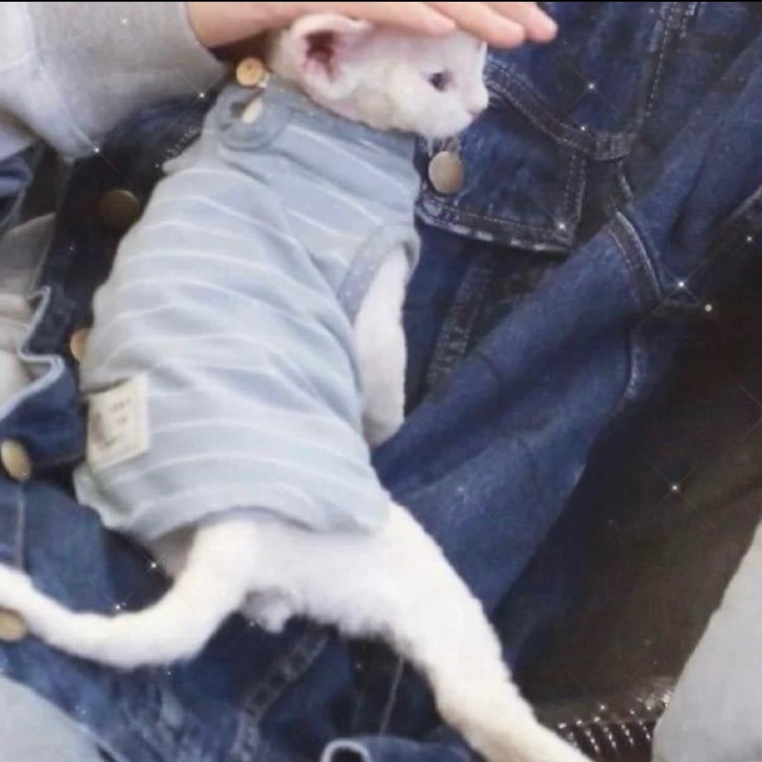 喝碗猪杂汤