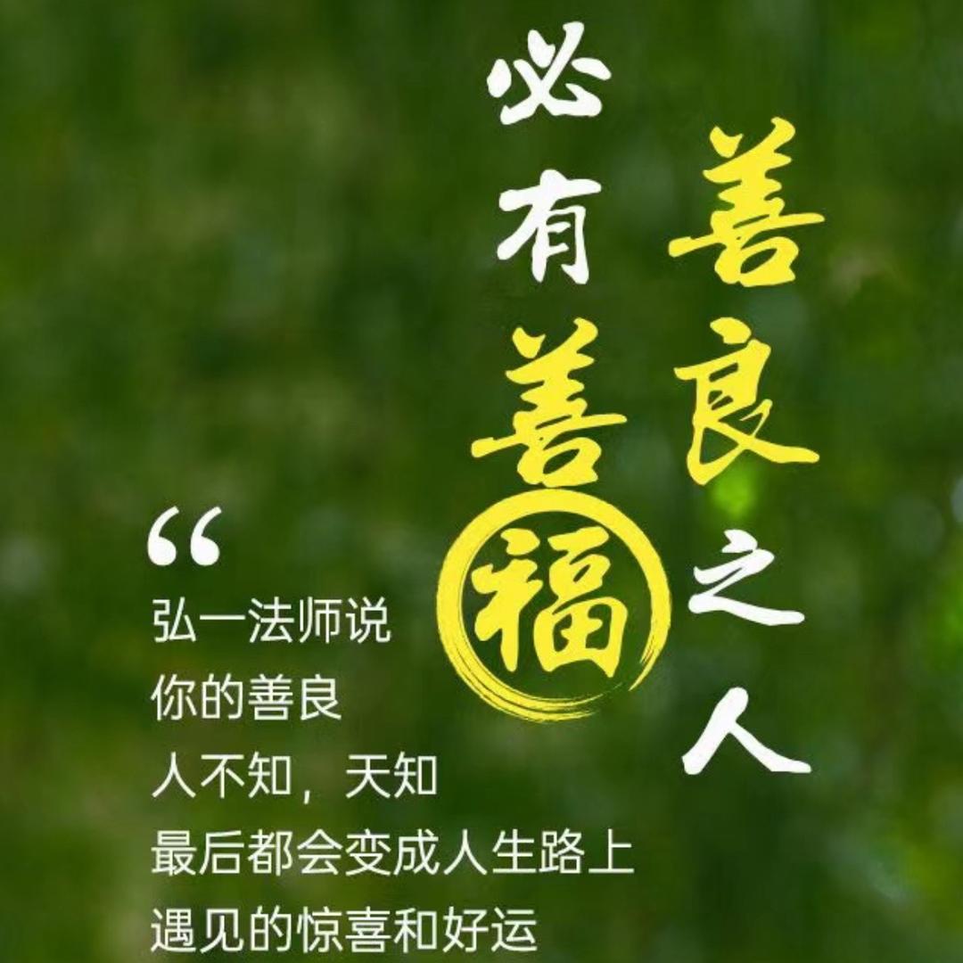 陈风破浪