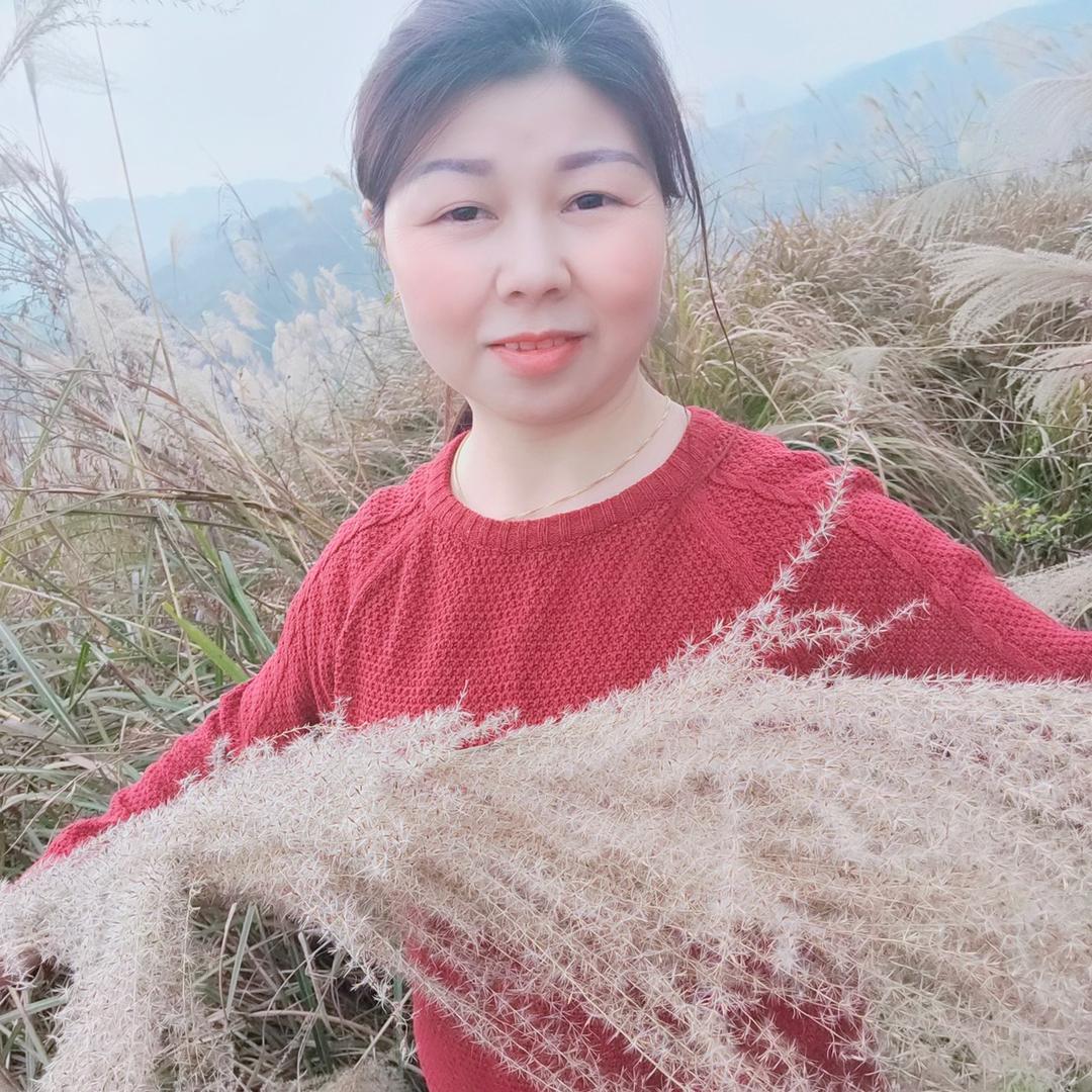 肖姐