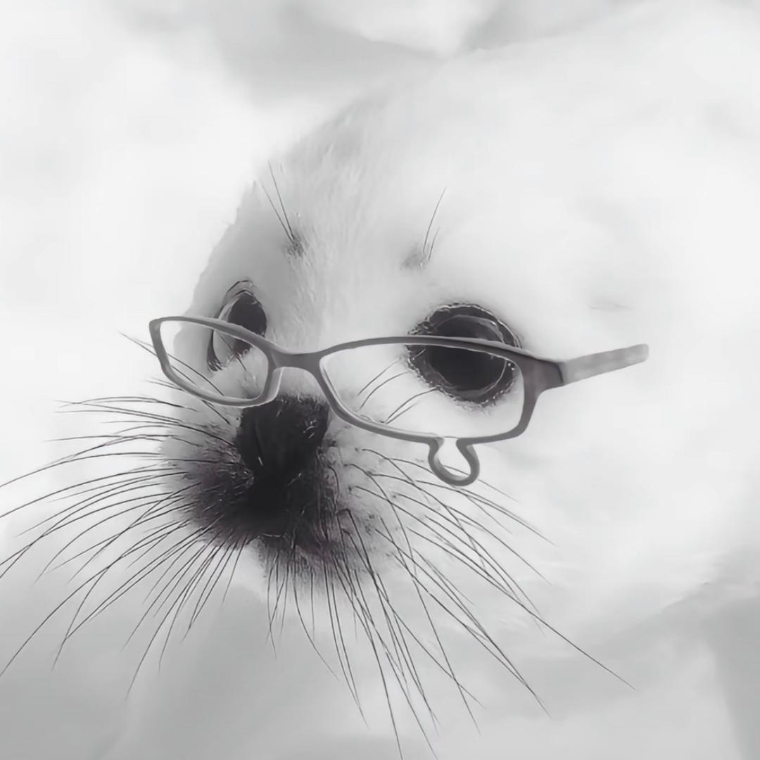 肥美的海报
