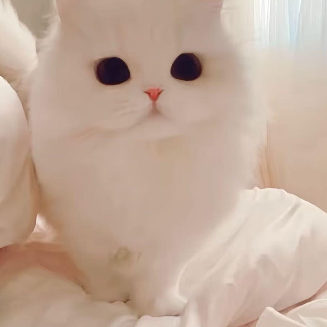 醒悟