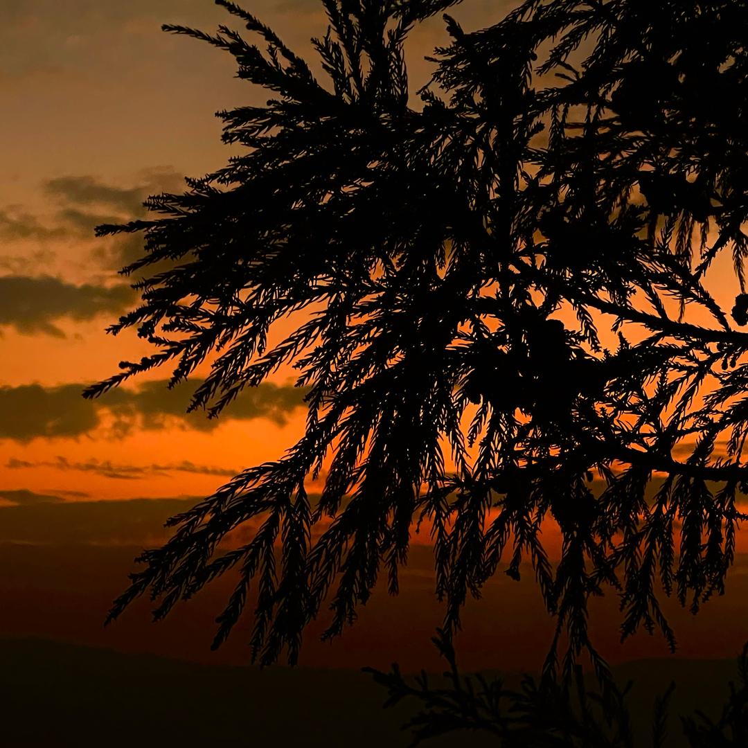 一三