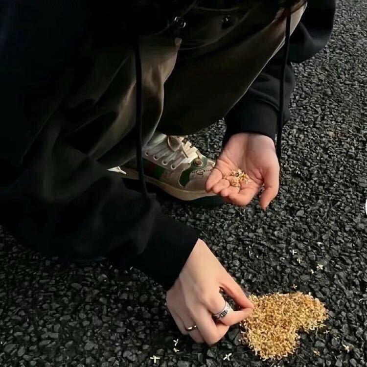 茉摇