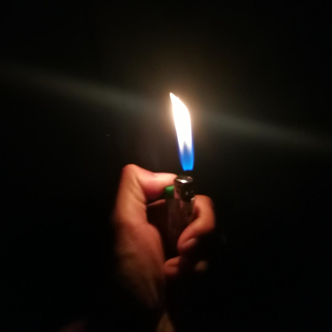 玫瑰是我偷的.