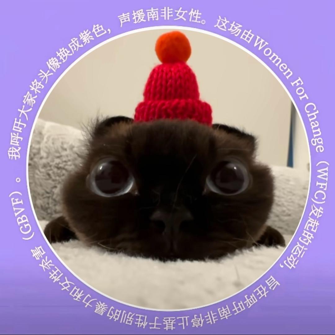 有点树汁你（不出非洲之心不改名）