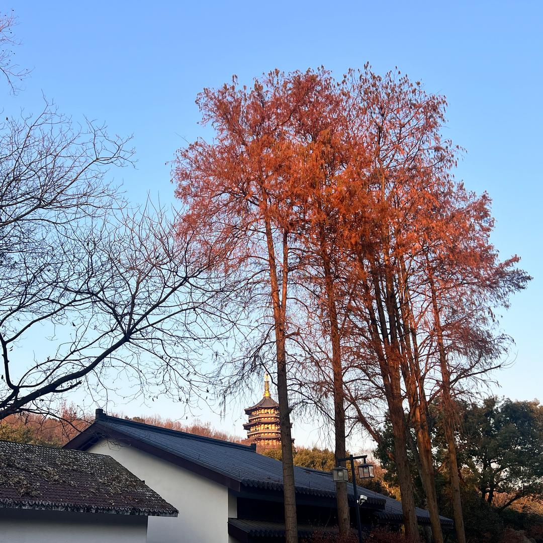 甜田天