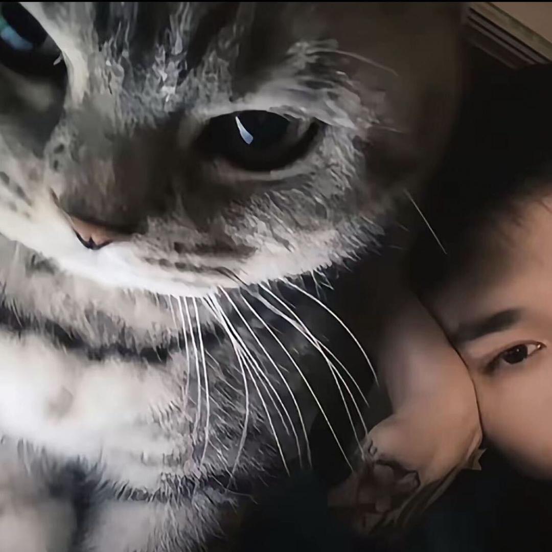 秦爱德