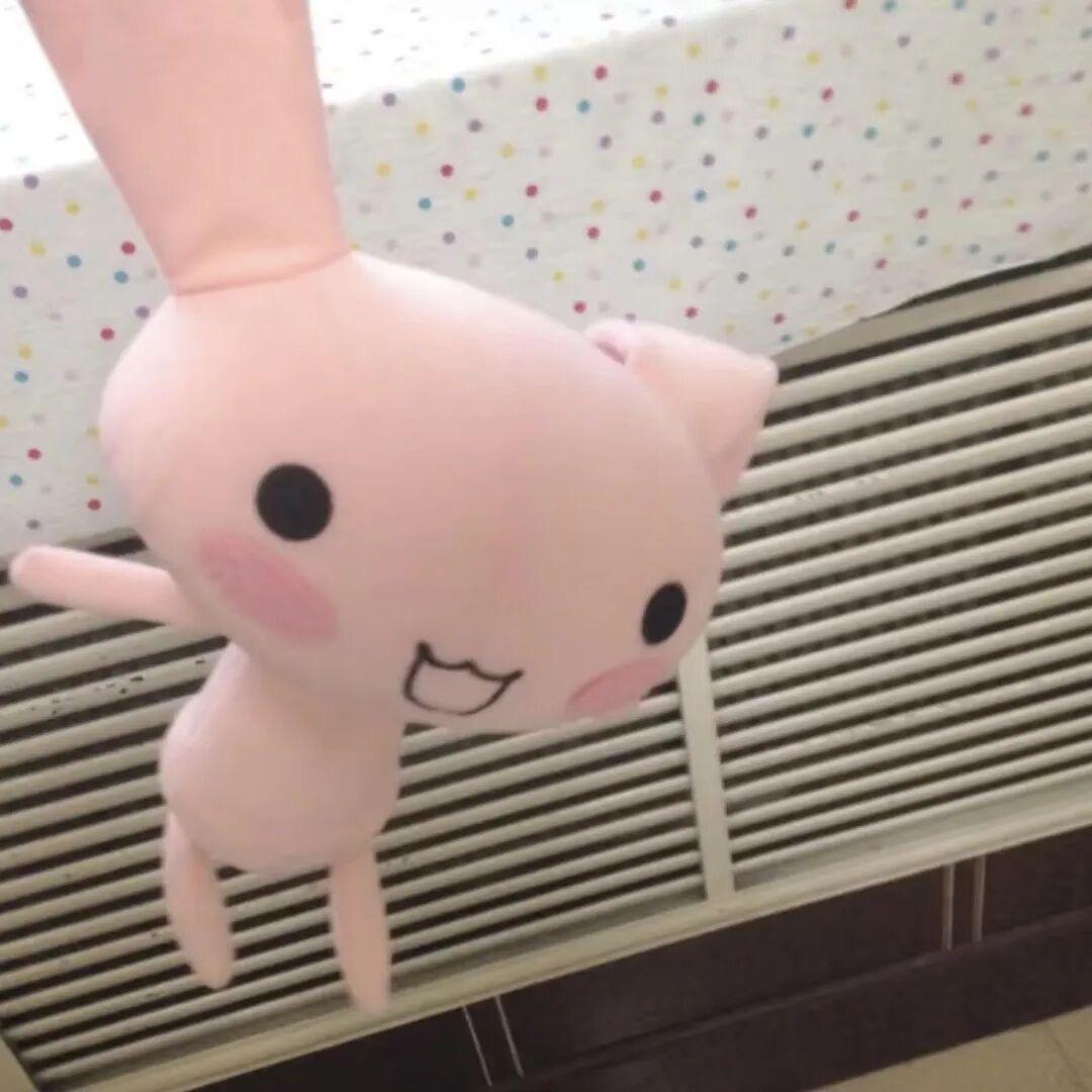 一颗柚子