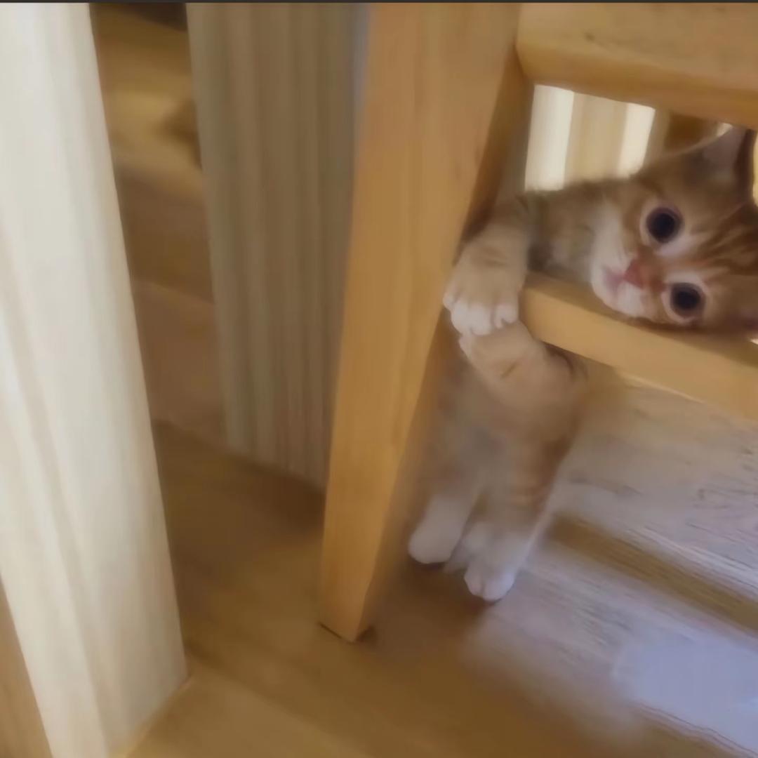 LIl