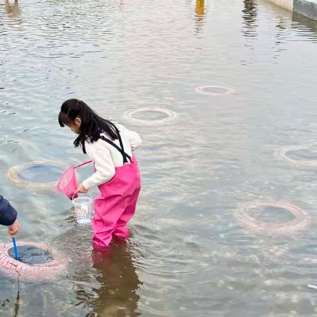 婷婷知晓