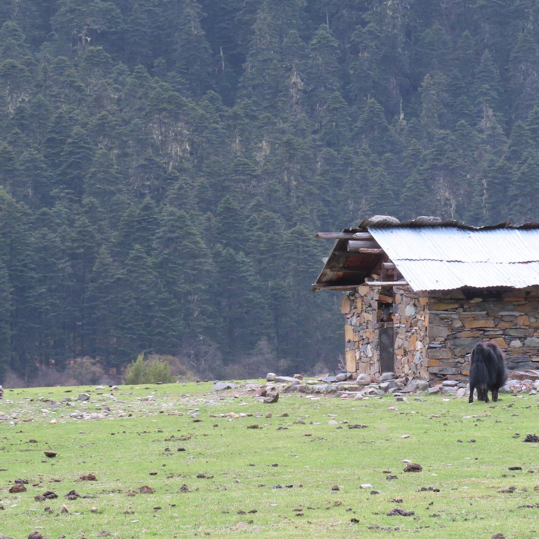 一条咸鱼的生活🧩