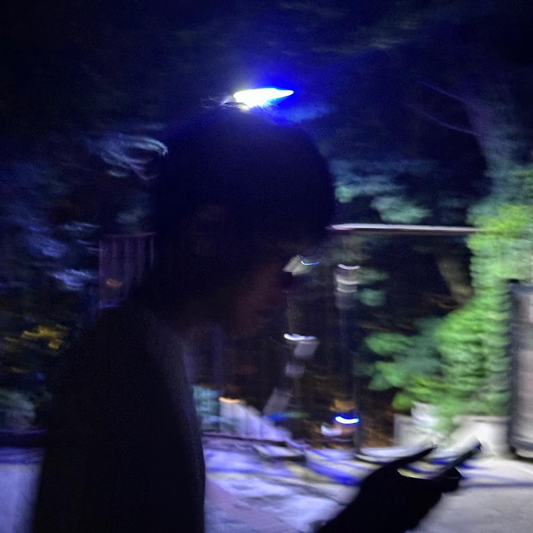 自分