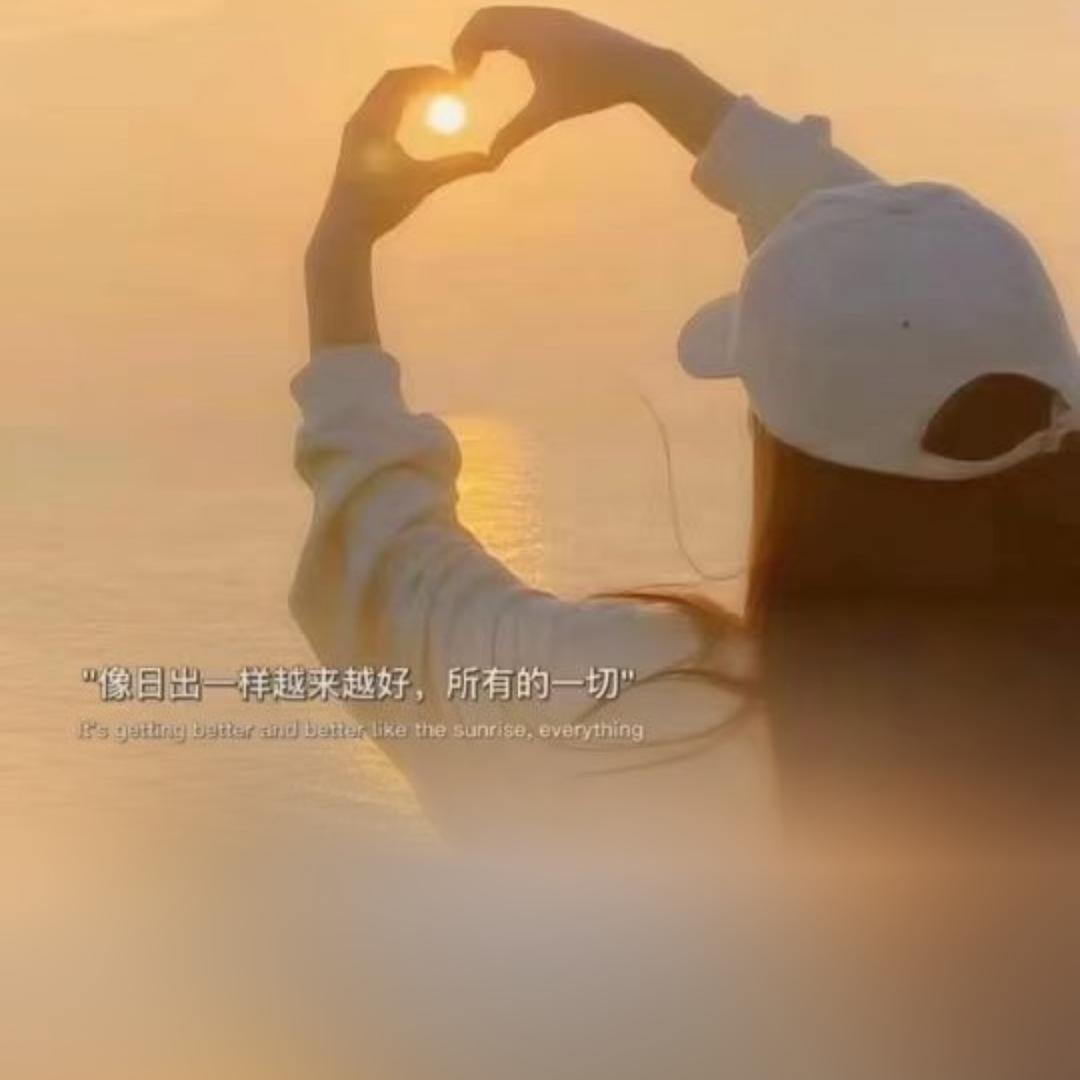 宝崽