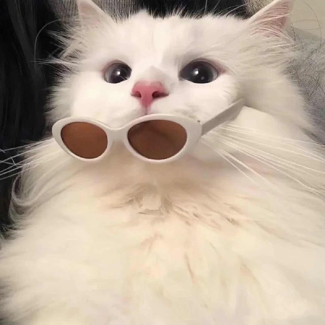 容嬷嬷