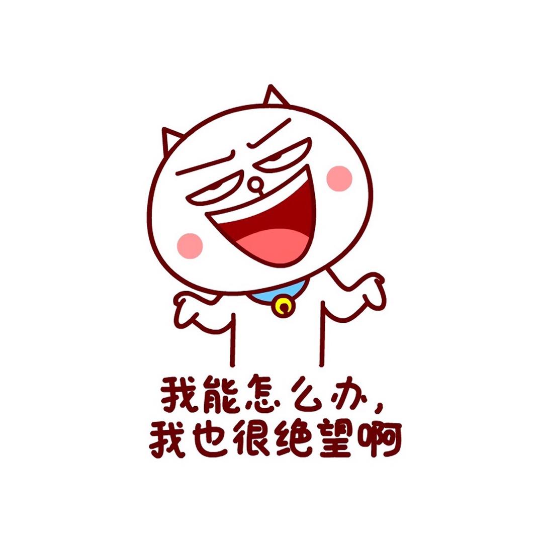 🌈_____刘小白、