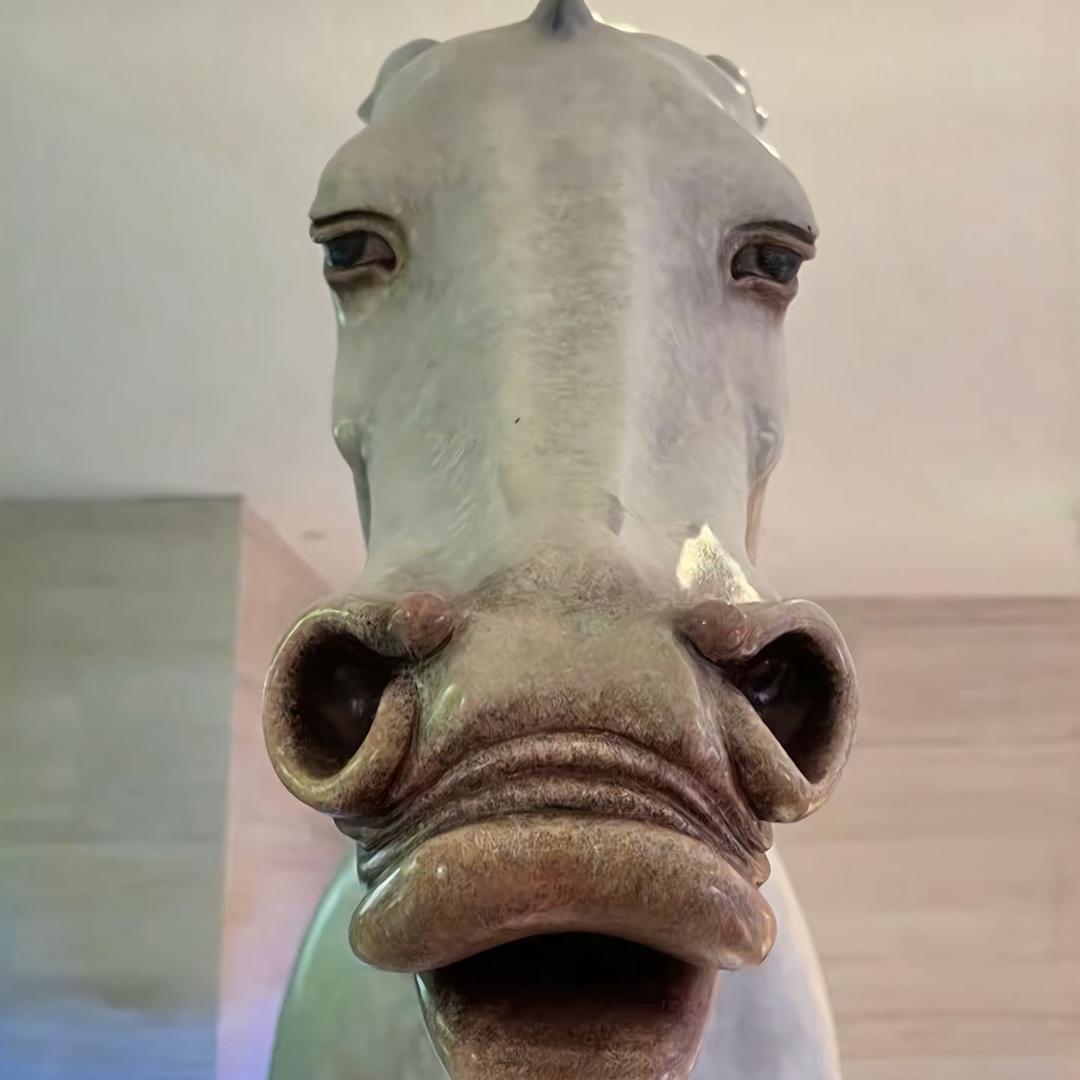 ./