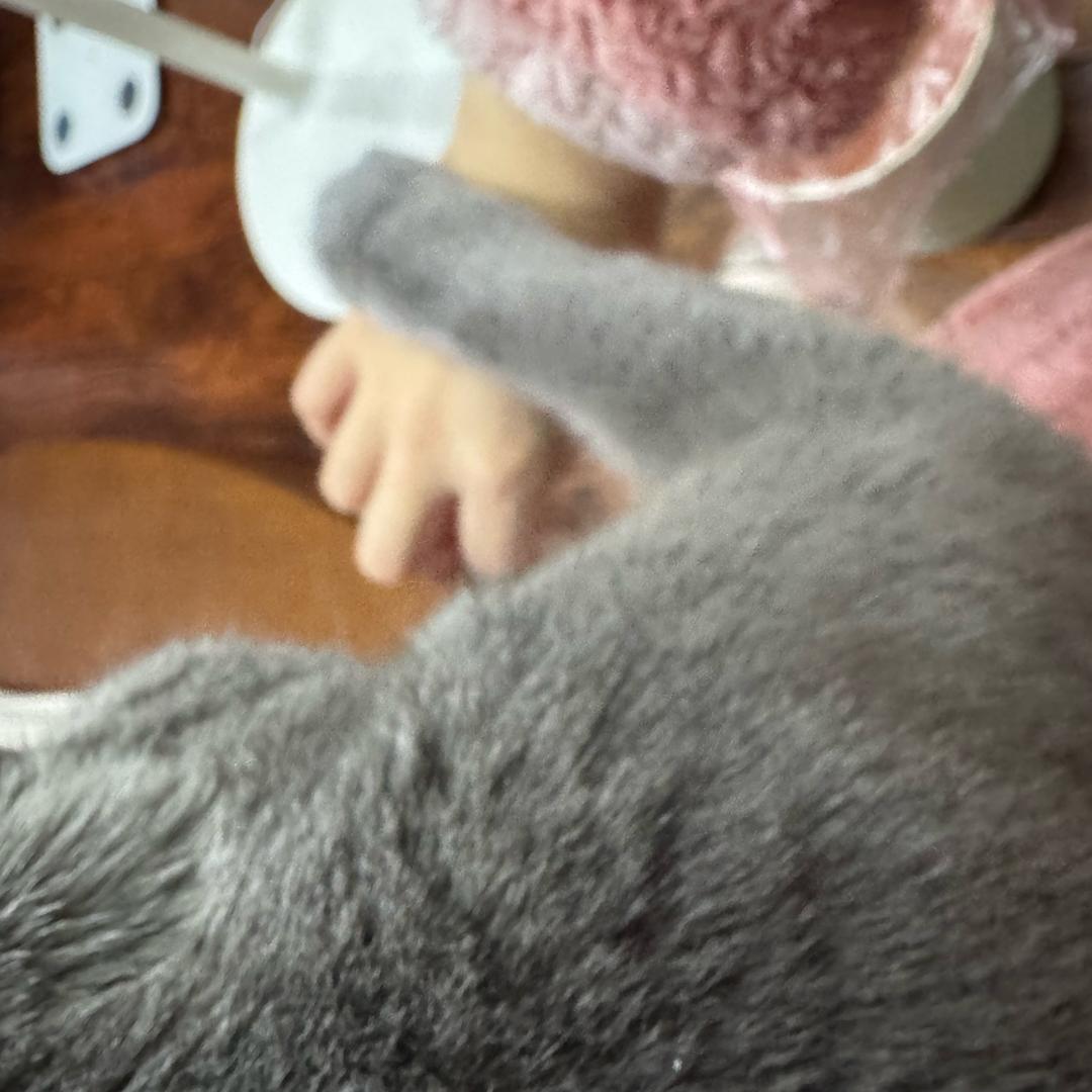 730（左撇子贴贴版）