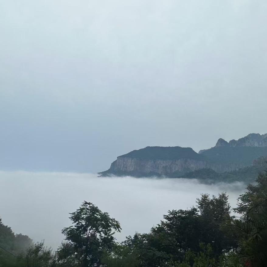 宗炎大师兄
