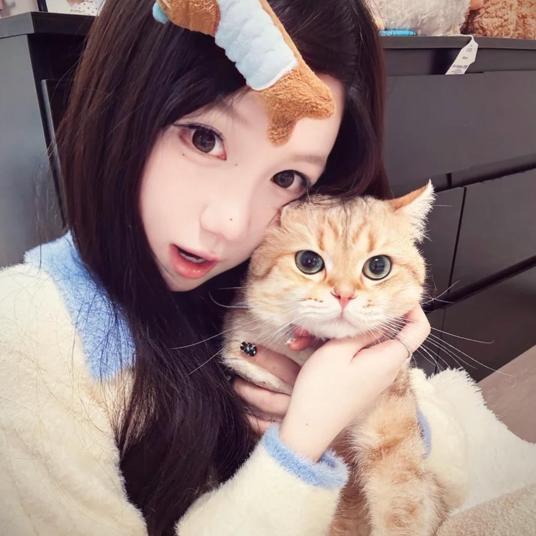 鱼卷卷