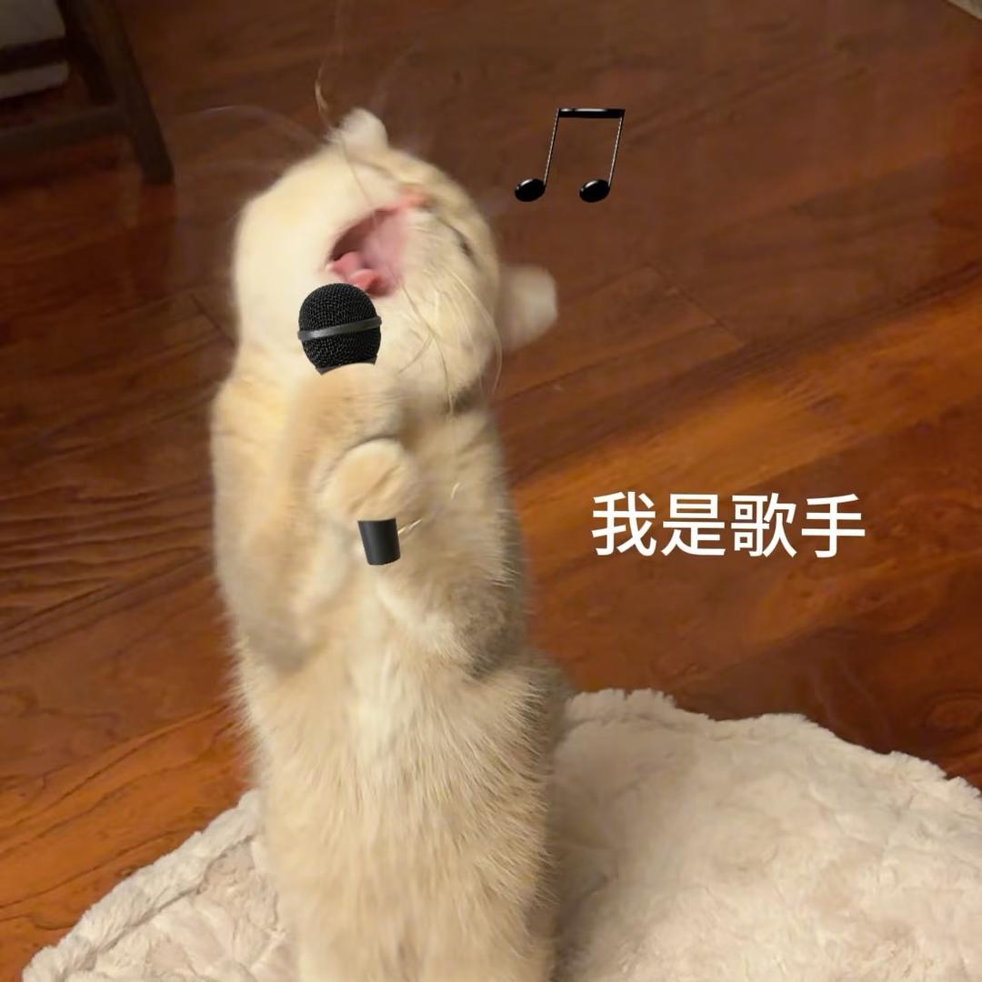 铁蛋儿🥰🥰