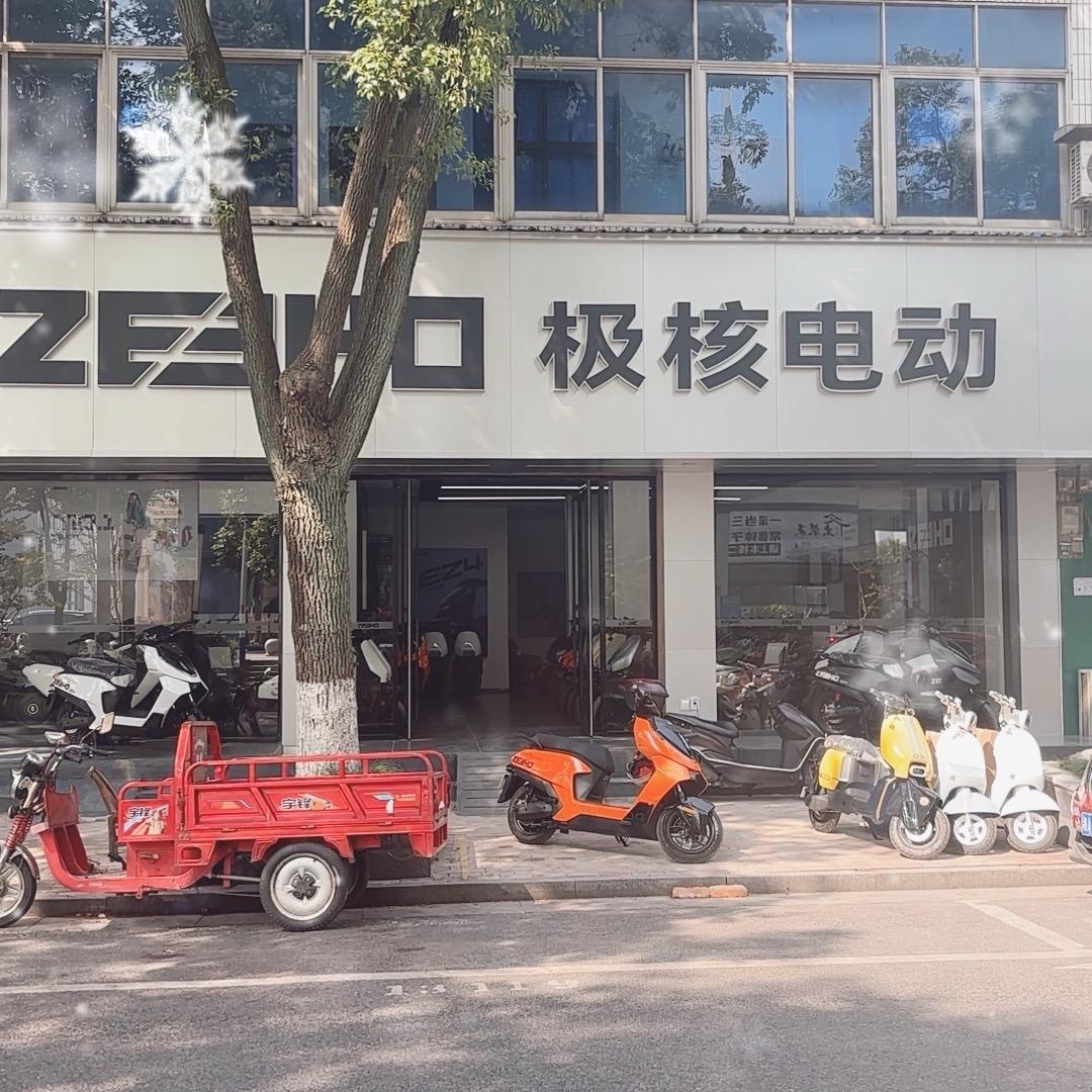 ZEEHO极核电动(汨罗高泉路店)