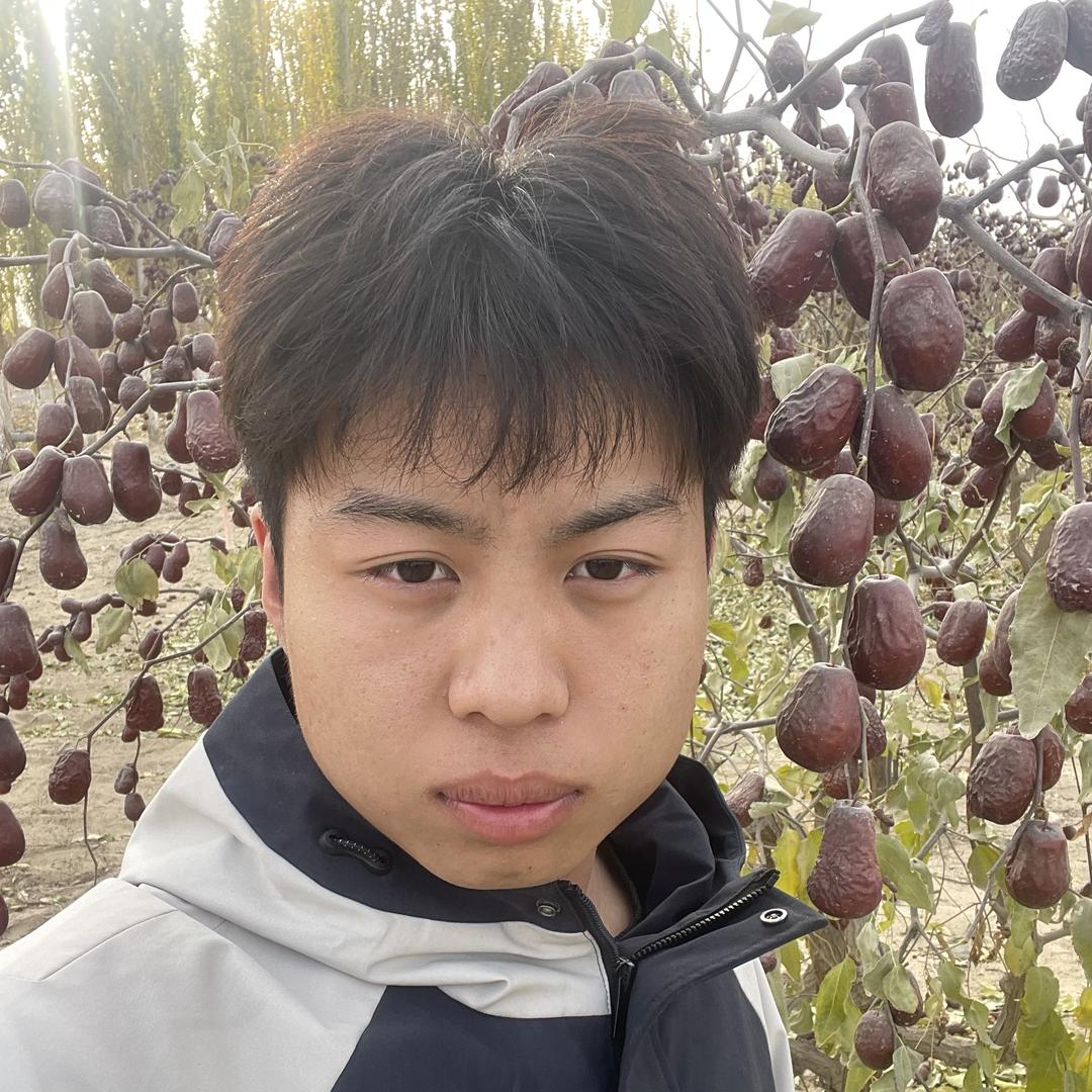 域香妃新疆特产