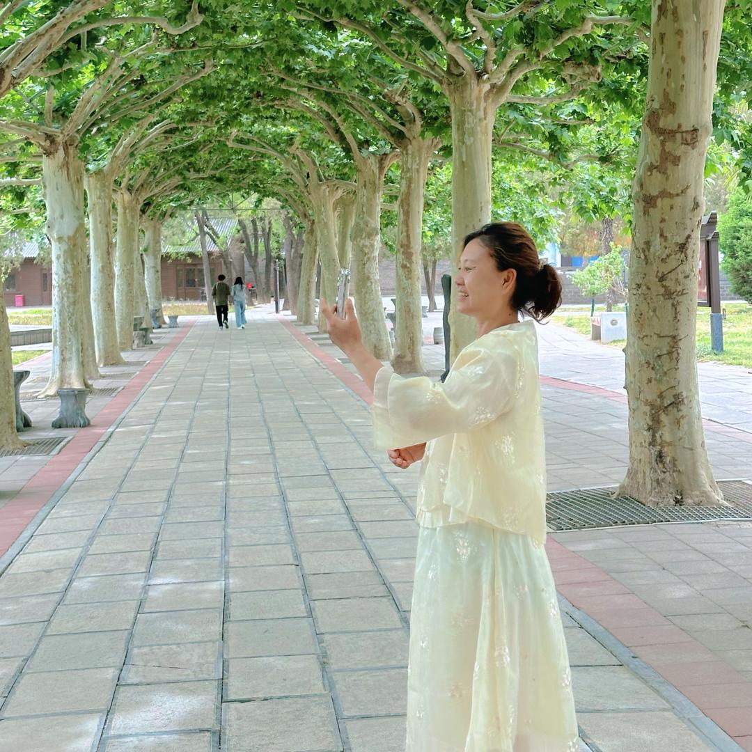 陌上花开🌸