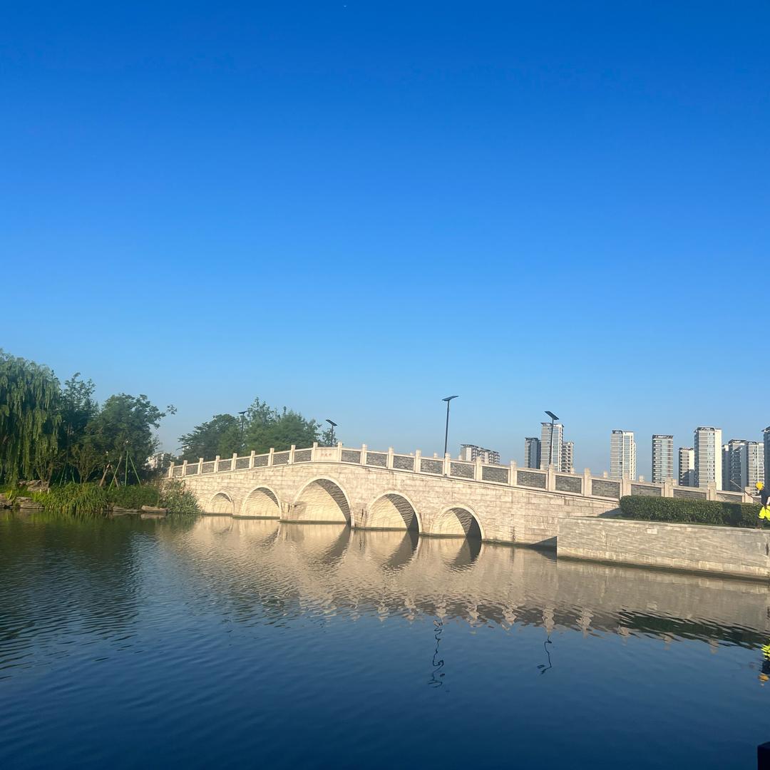空白……