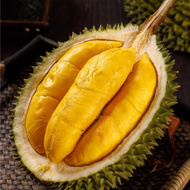 马来榴莲甄选