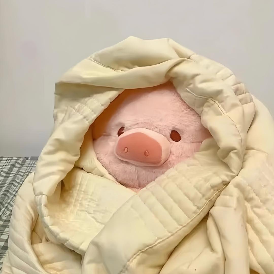 七月爱生活