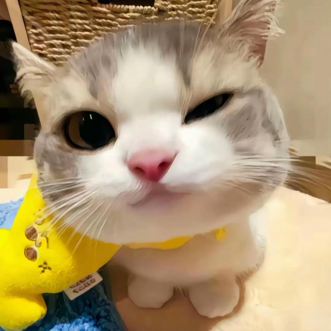 十四