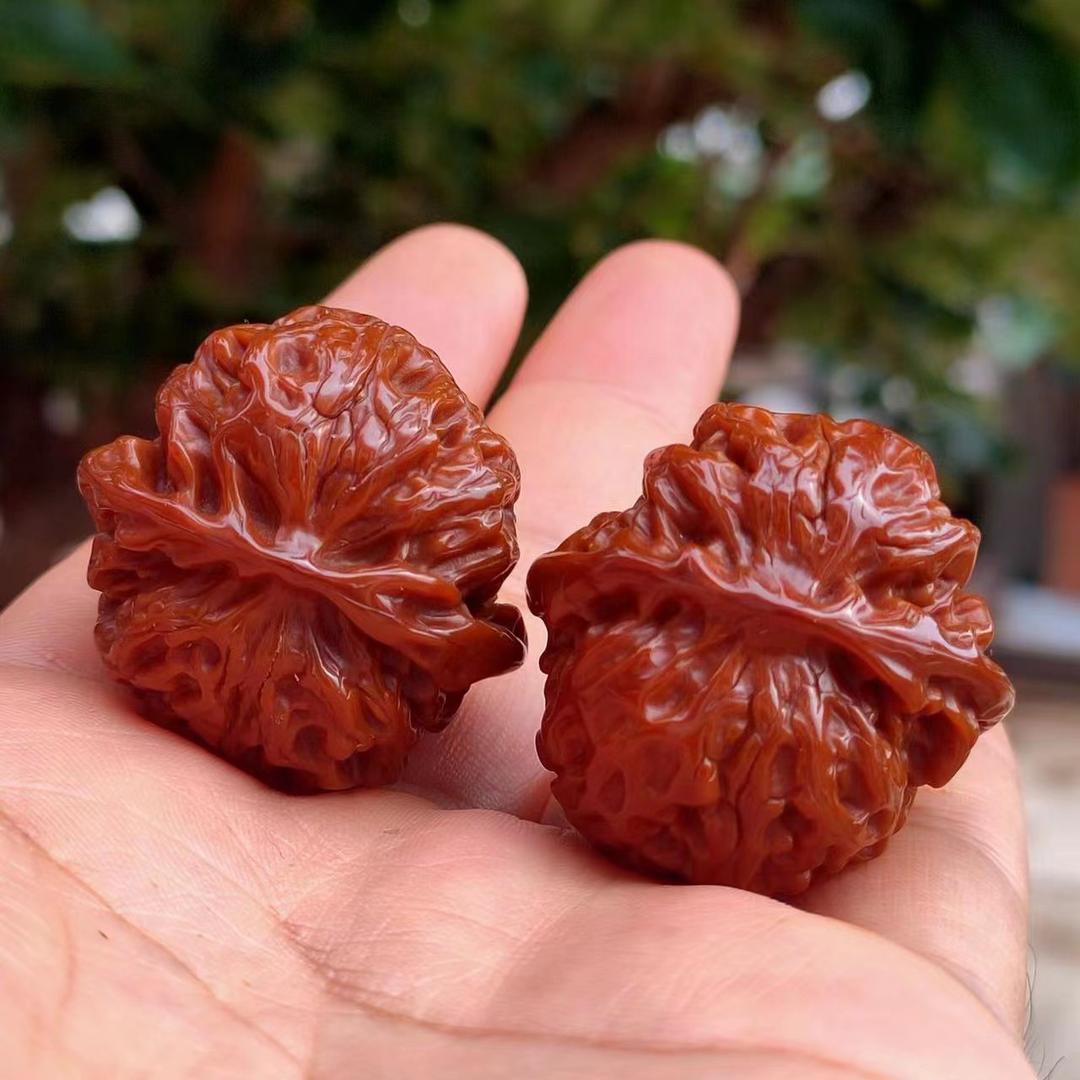 十 三 家核桃