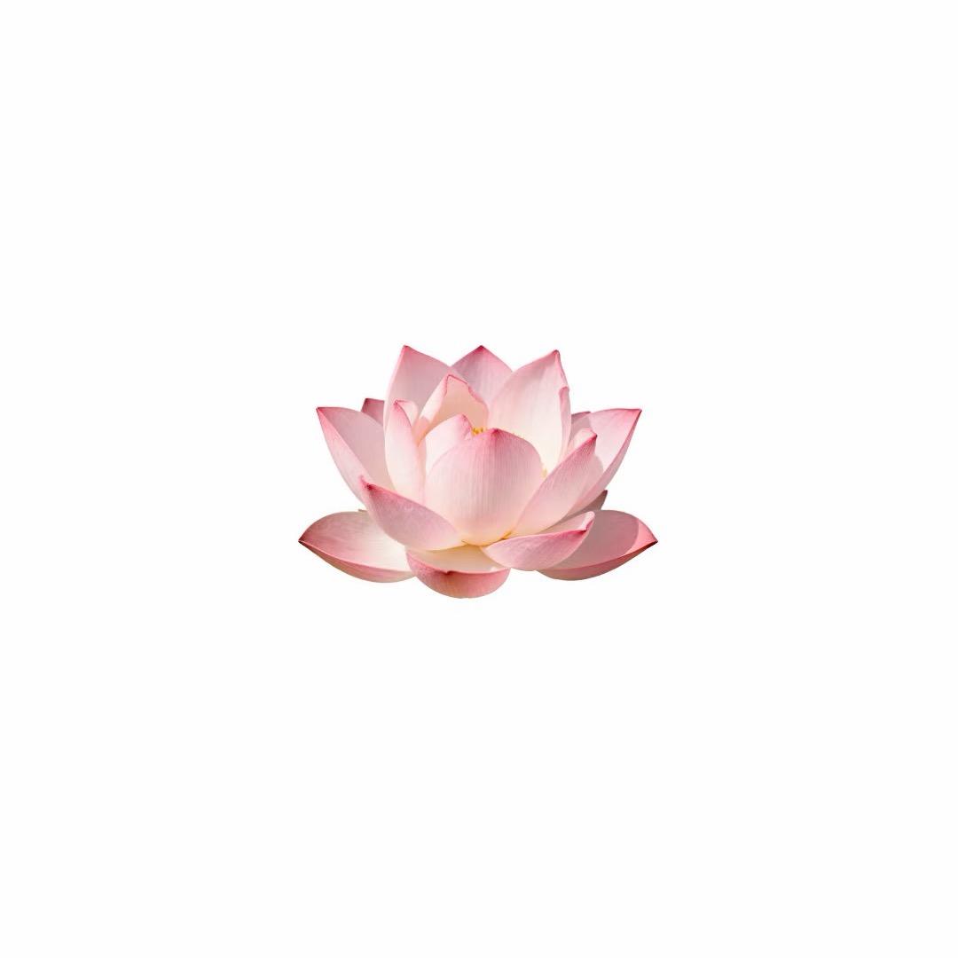 不会玩手机
