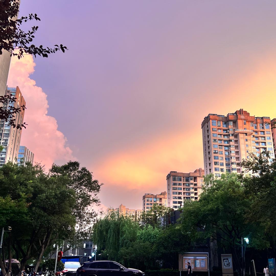 初见☼