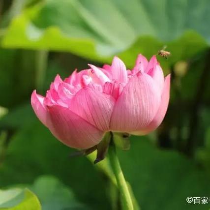 欣～欣💋💋💋