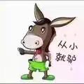 从小就驴