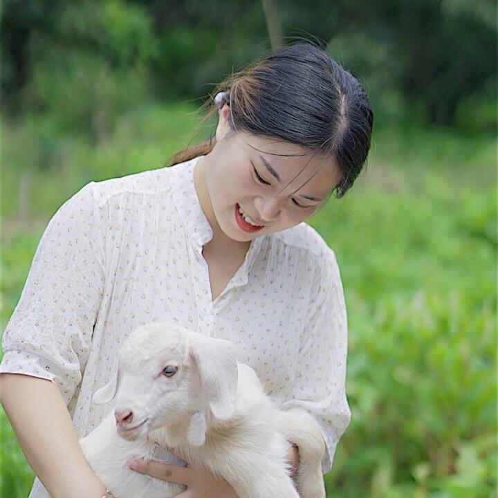 杨佩佩