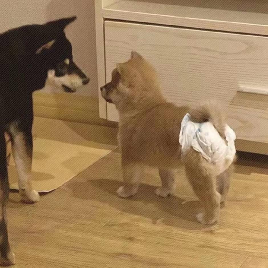 葡萄成熟时·