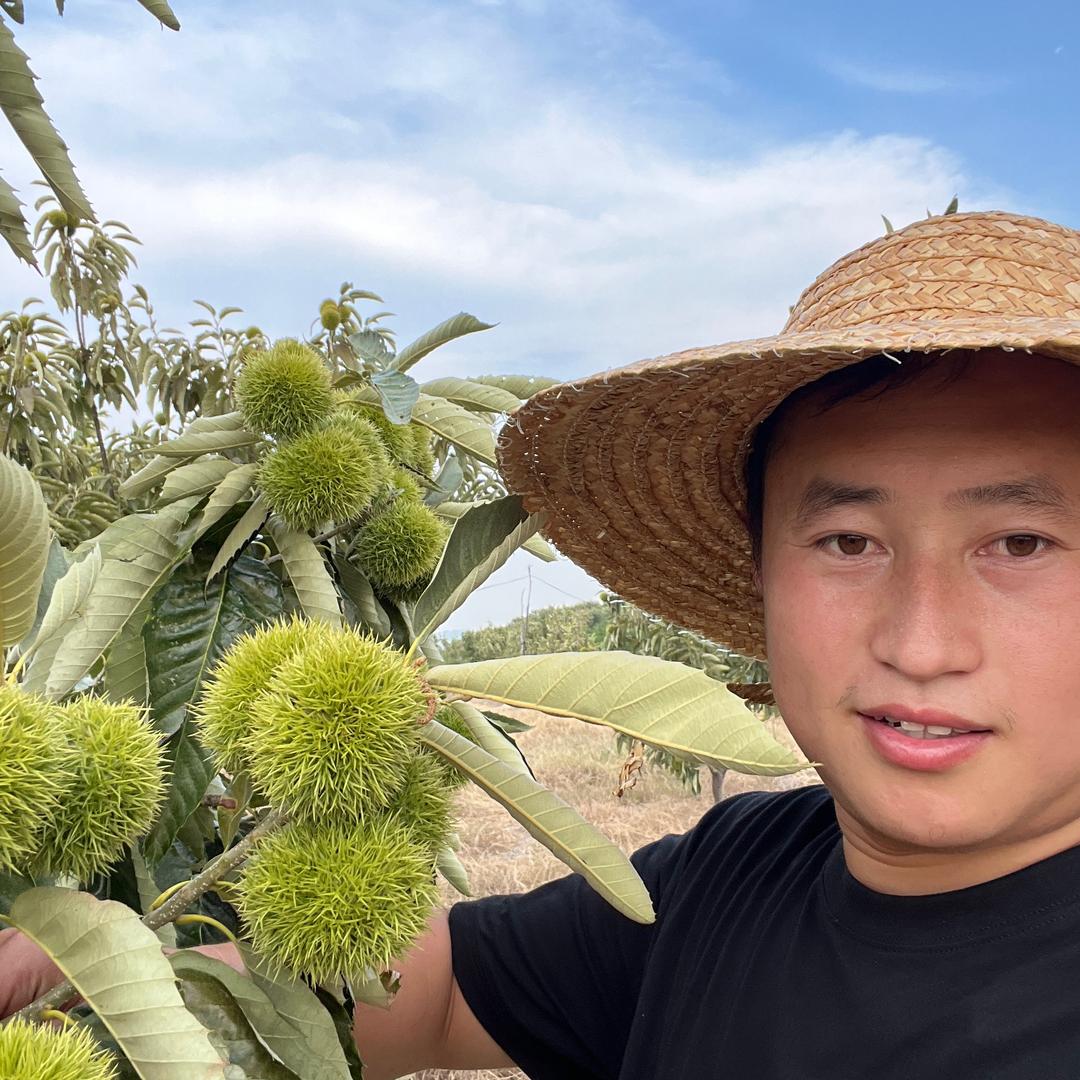 山沟沟农庄田园